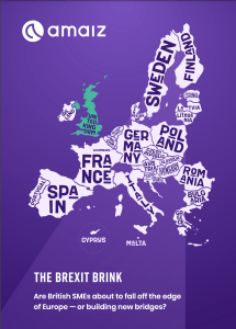 The Brexit Brink