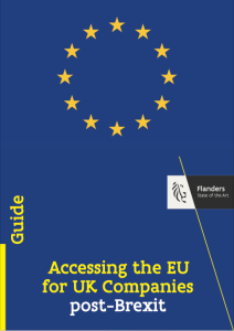 Brexit Guide